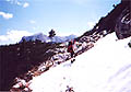 Jitka pod ch. Wiesberghaus